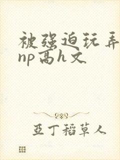 被强迫玩弄屈辱np高h文