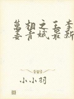 万相之王李洛/姜青娥最新更新封面