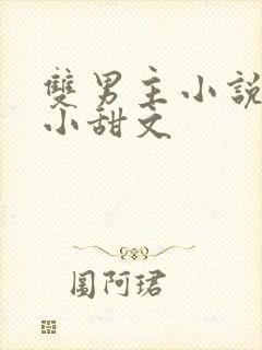 双男主小说推荐小甜文