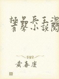 极品兵王混山村有声小说阅读