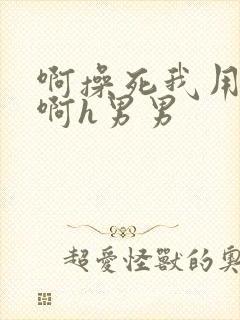 啊操死我用力插啊h男男