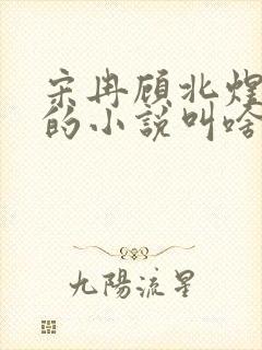 宋冉顾北煜苏月的小说叫啥封面
