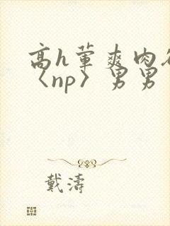 高h荤爽肉欲文〈np〉男男封面