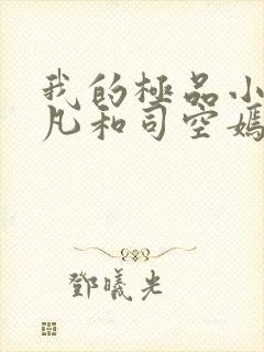 我的极品小姨叶凡和司空嫣的小说