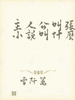 主人公叫张易的小说叫什么名字