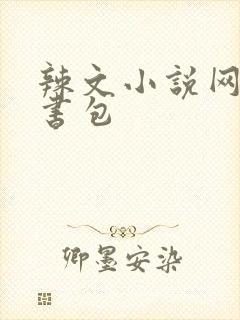 辣文小说网第二书包