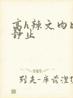 高h辣文肉时间静止封面