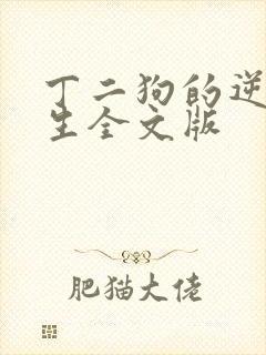 丁二狗的逆袭人生全文版封面