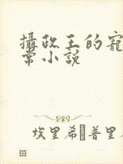 摄政王的宠妻日常小说封面