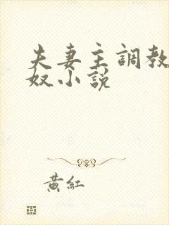 夫妻主调教夫妻奴小说封面