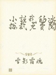 小说我的冰山女总裁免费阅读封面