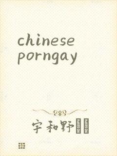 chineseporngay封面