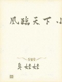 凰临天下 小说封面
