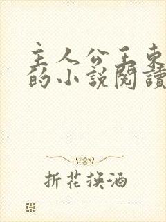 主人公王东唐潇的小说阅读封面
