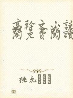 高干文小说笔趣阁免费阅读