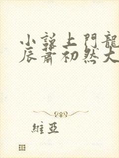 小说上门龙婿叶辰萧初然大结局