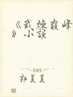 《武炼巅峰杨开》小说