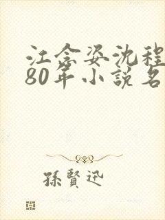 江念姿沈程穿书80年小说名