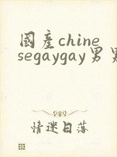 国产chinesegaygay男男