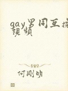 gay男同互操视频