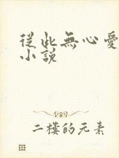 从此无心爱良夜小说