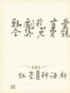 韩剧我有爱人了全集免费观看