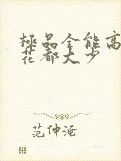 极品全能高手 花都大少