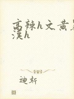 高辣h文黄暴糙汉h