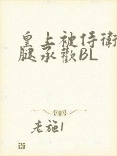 皇上被侍卫抵开腿承欢BL