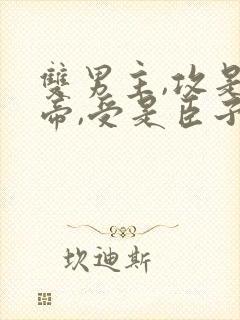 双男主,攻是皇帝,受是臣子