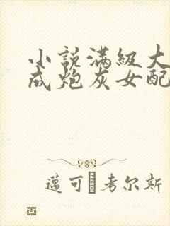 小说满级大佬穿成炮灰女配