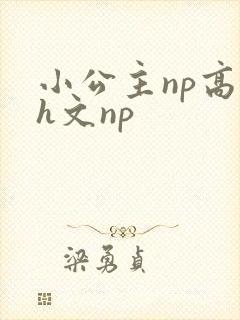 小公主np高辣h文np