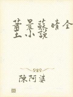 萧晨苏晴全能兵王小说