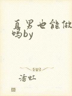 直男也能做老婆吗by封面