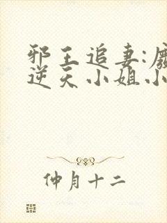 邪王追妻:废材逆天小姐小说免费阅读