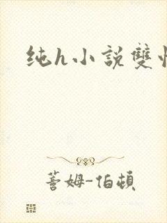 纯h小说双性