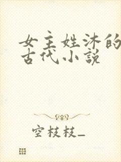 女主姓沐的重生古代小说