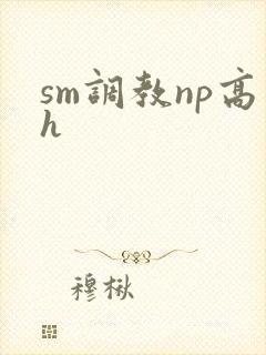 sm调教np高h