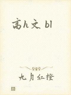 高h文 bl