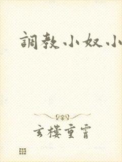 调教小奴小说封面