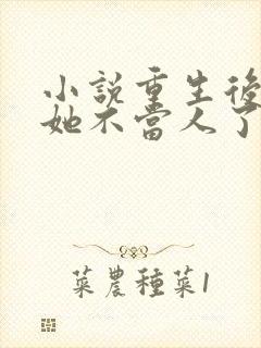 小说重生后影后她不当人了封面