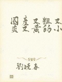 国产又粗又猛又爽又黄的小说
