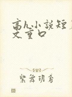 高h小说短篇辣文重口