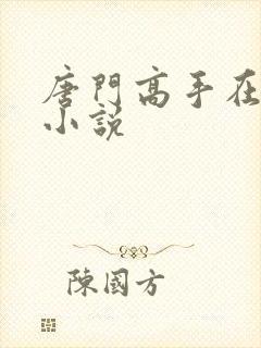 唐门高手在异世小说封面