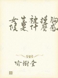 女生被摸胸的时候是什么感觉封面