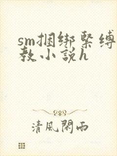 sm捆绑紧缚调教小说h