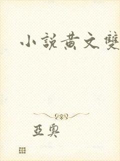 小说黄文双男主