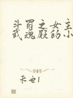 斗罗之女主加入武魂殿的小说