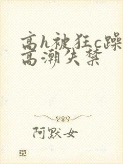 高h被狂c躁到高潮失禁