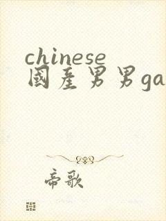 chinese国产男男gaygay网站